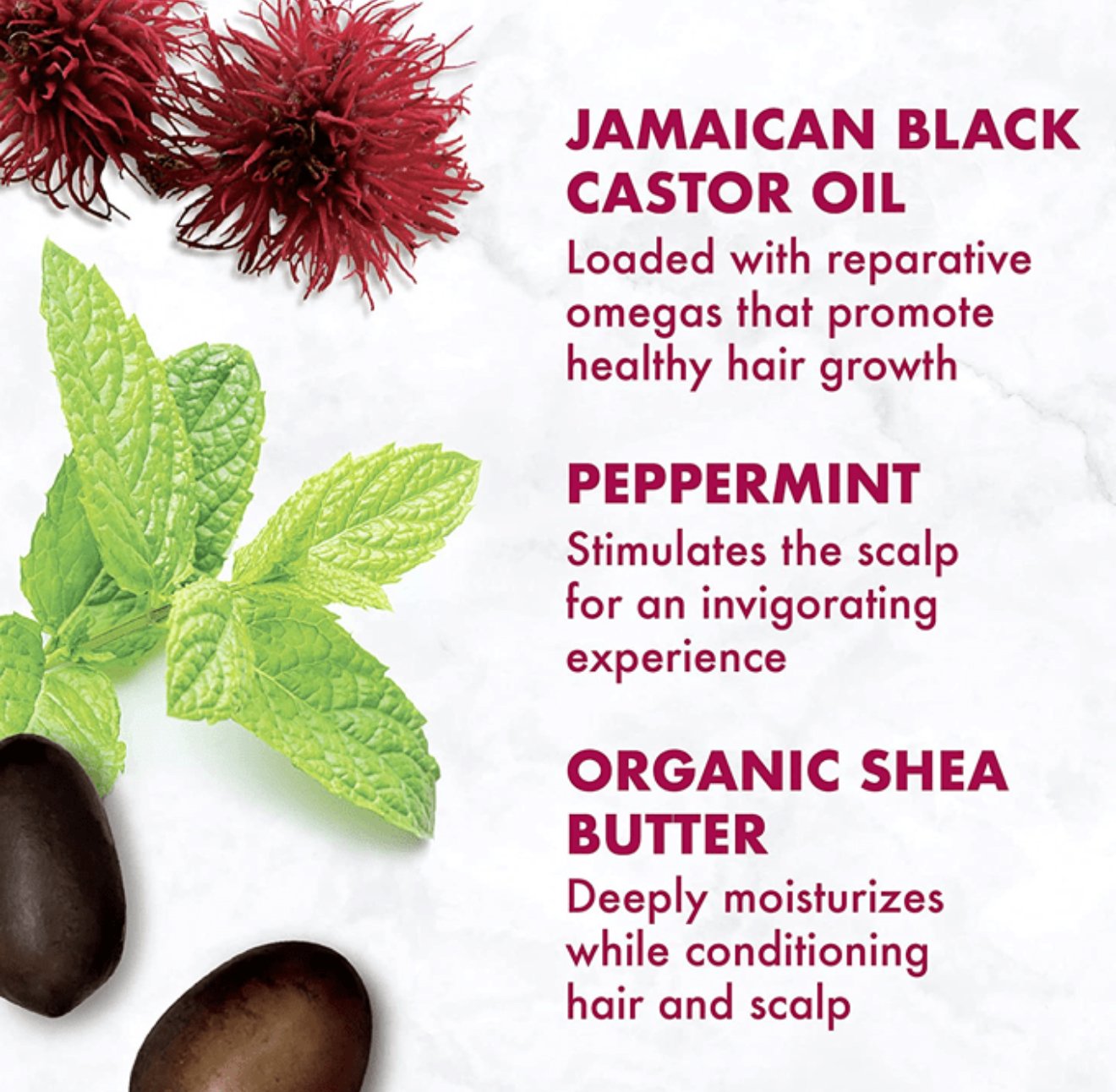 بلسم زيت الخروع الأسود الجامايكي لتقوية وتعزيز نمو الشعر من شيا مويستشر-384مل - الصورة 2