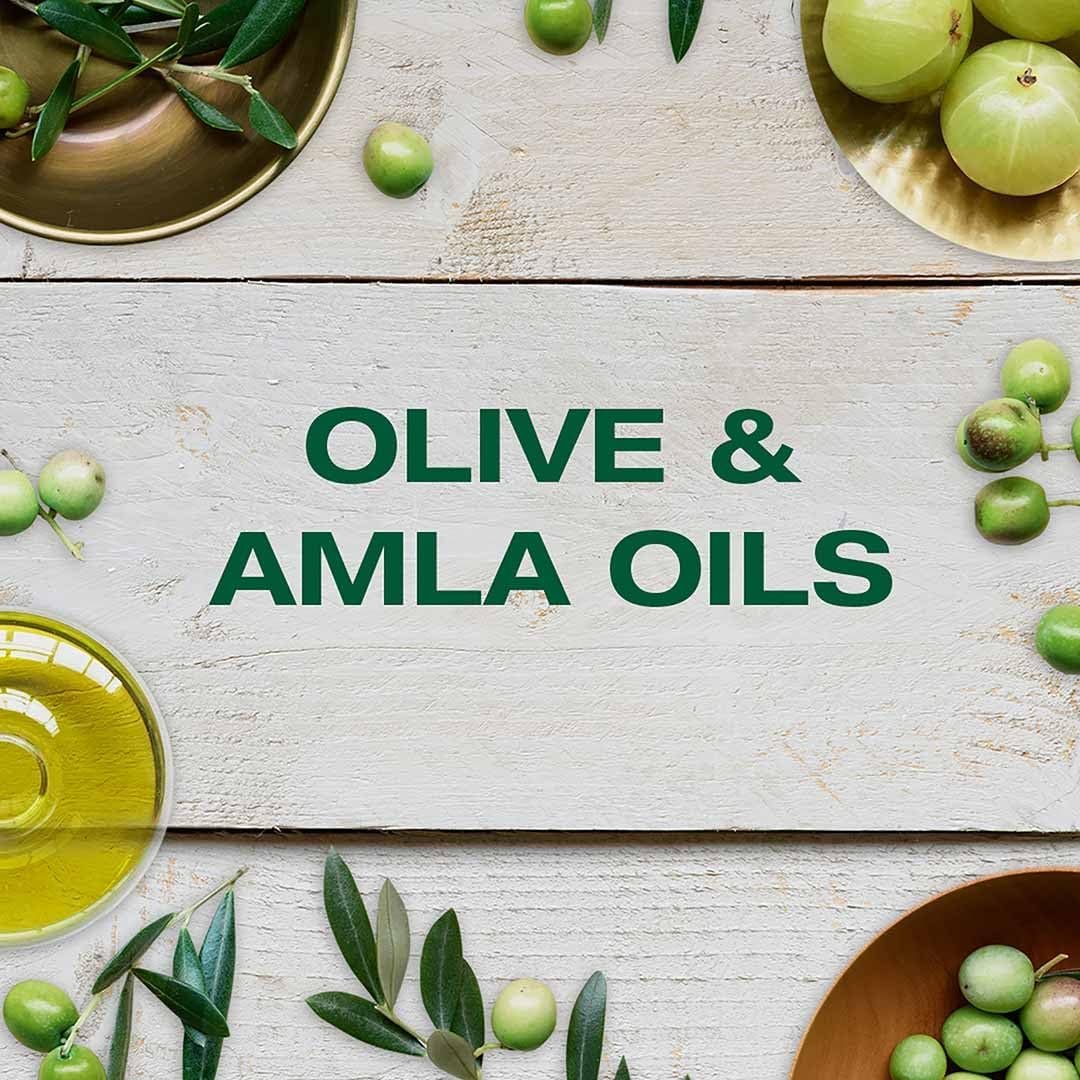 شامبو ألترا دوكس ميثيك أوليف لتجديد الشعر من غارنييه - 400 مل - الصورة 3